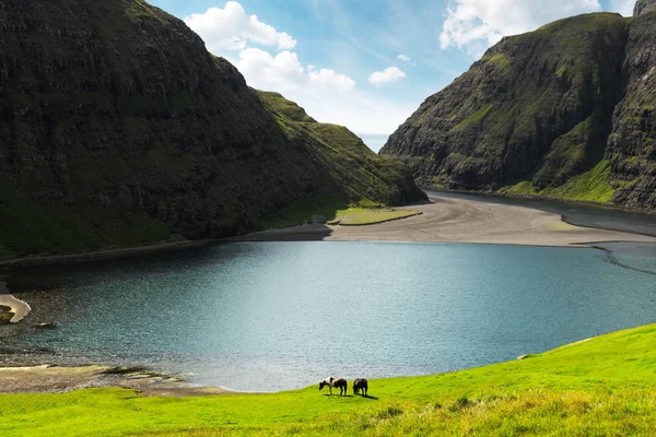 Erstaunliche sommerliche sicht auf pollurin laguna in saksun dorf — Stockfoto