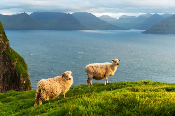 Morning view on the summer Faroe islands — Stock Photo, Image