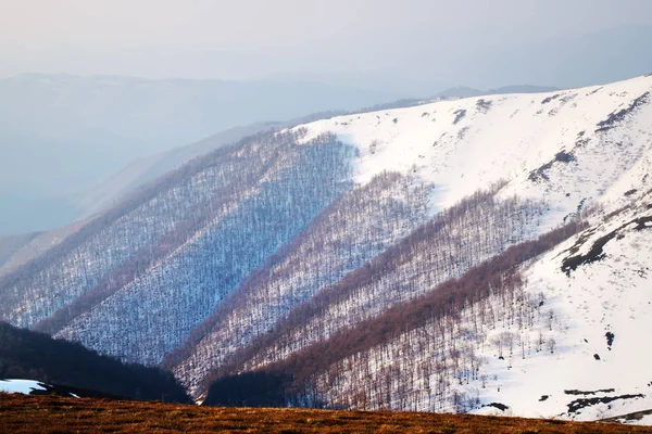 Снігові пагорби і червона трава — стокове фото