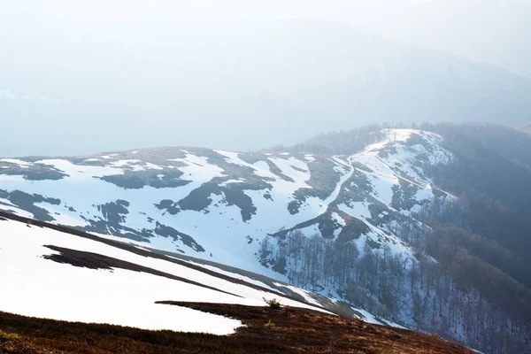 雪の丘と赤い草 — ストック写真