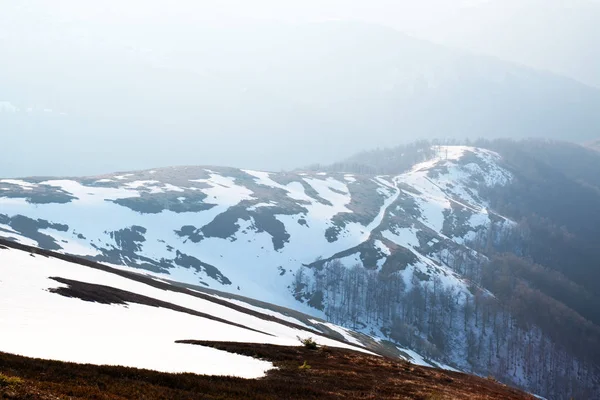 Snowy hills and red grass — Stock Photo, Image