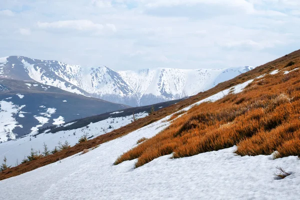 Snowy hills with red blueberry bushs — Stock Photo, Image