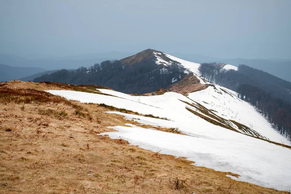 Snöiga kullar och gult gräs — Stockfoto