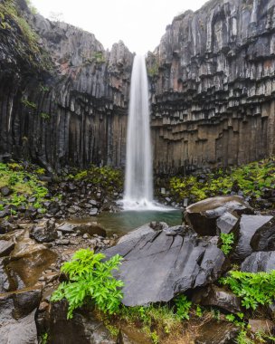 Muhteşem Svartifoss şelalesi