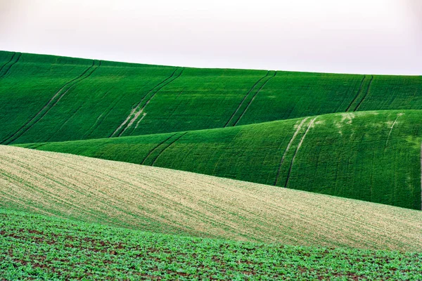 Abstrakti maaseutumaisema maatalouspeltoineen — kuvapankkivalokuva