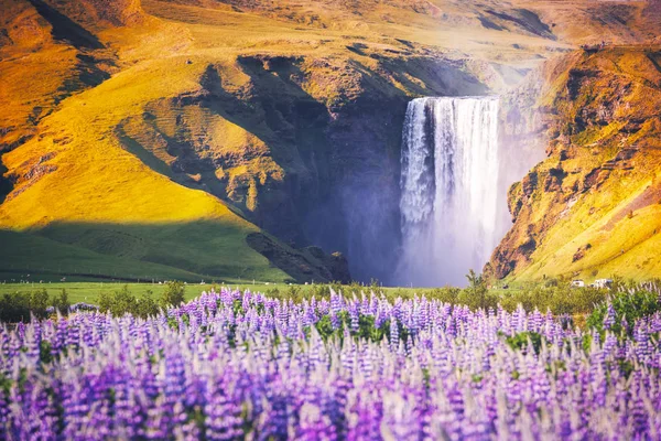 Berühmter skogafoss-Wasserfall — Stockfoto