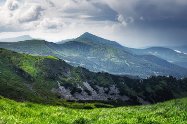 yemyeşil çimenler dağlarla kaplı çayır