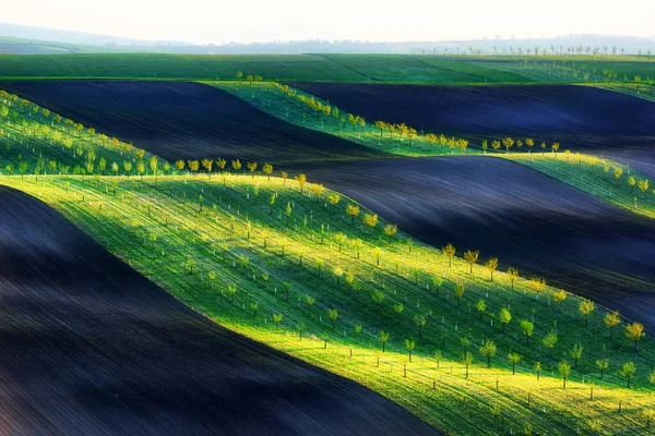 Paisagem de primavera rural com colinas listradas coloridas com árvores — Fotografia de Stock