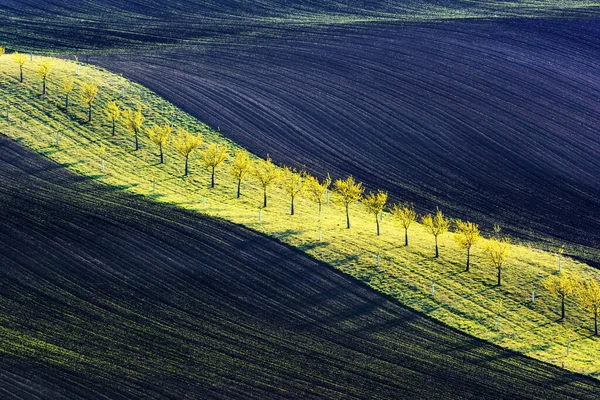 Tarım alanlarının yeşil ve kahverengi dalgaları — Stok fotoğraf