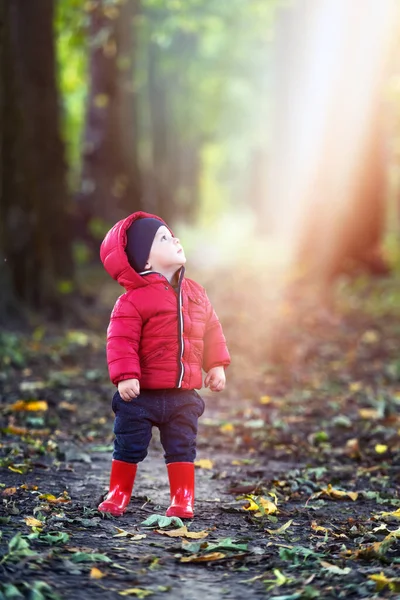 Malý batole kluk v červených gumových botách — Stock fotografie