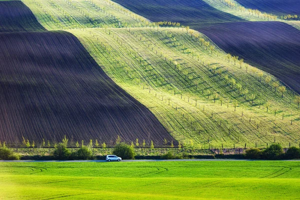 Moravian agricultural fields — Stock Photo, Image