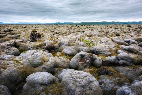 Campo di lava ricoperto di muschio verde — Foto Stock