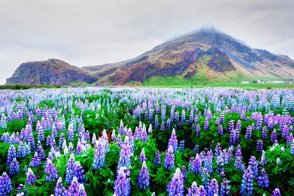 Paisaje típico de Islandia con montañas — Foto de Stock