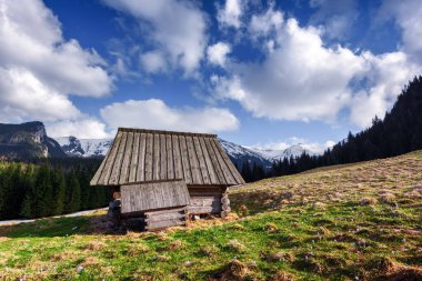 Baharda eski ahşap kulübe High Tatras