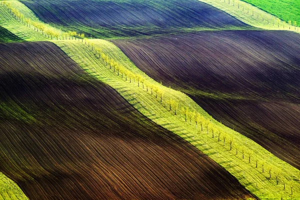 Tarım alanlarının yeşil ve kahverengi dalgaları — Stok fotoğraf