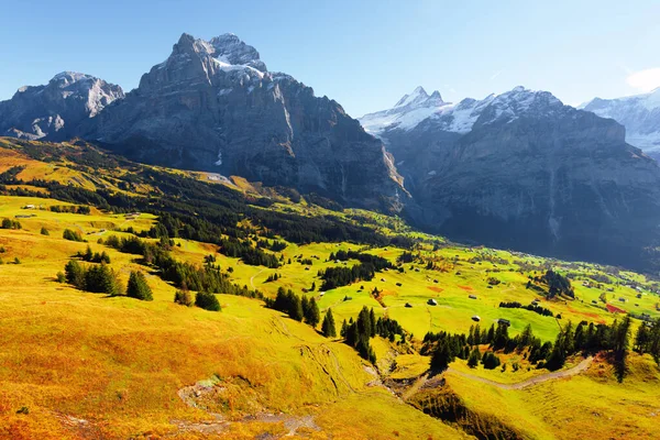 Malowniczy jesienny krajobraz w miejscowości Grindelwald — Zdjęcie stockowe