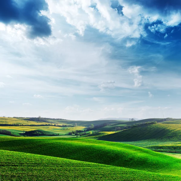 Schilderachtig landschapslandschap met groen veld en boom — Stockfoto