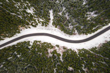 Kış dağlarında yol yılanıyla uçmak