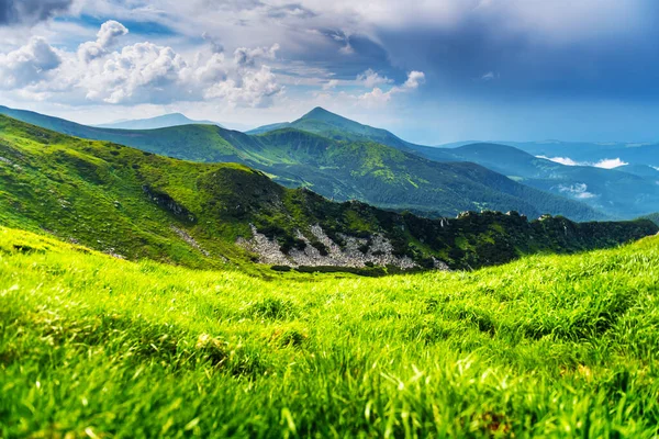 Světle zelená tráva pokryté hory louka — Stock fotografie