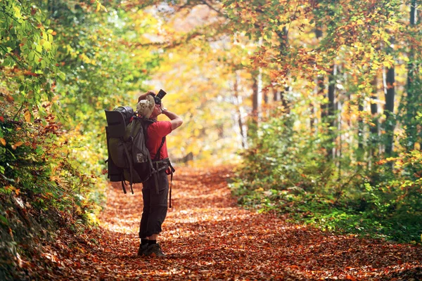 Fotograf fotografující podzimní les — Stock fotografie