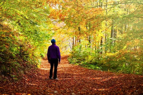 Man walking in autumn forest with orange trees — Stock Photo, Image