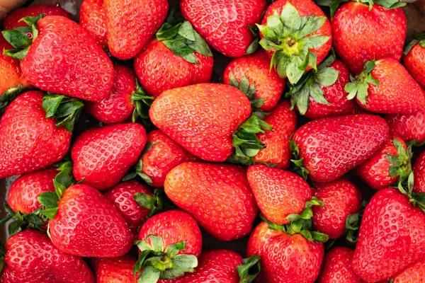 Dolce maturo fragola primo piano — Foto Stock