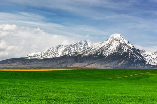 Sněžné hory vrcholky a zelené pole na jaře Vysoké Tatry — Stock fotografie