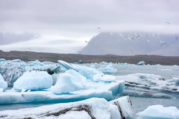 Jokulsarlon Buzul Gölü — Stok fotoğraf