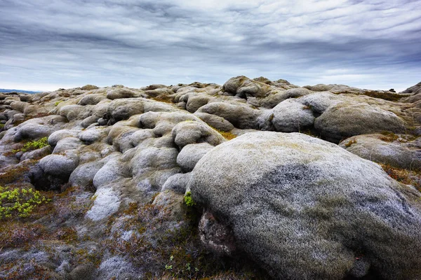 Lava veld bedekt met groen mos — Stockfoto