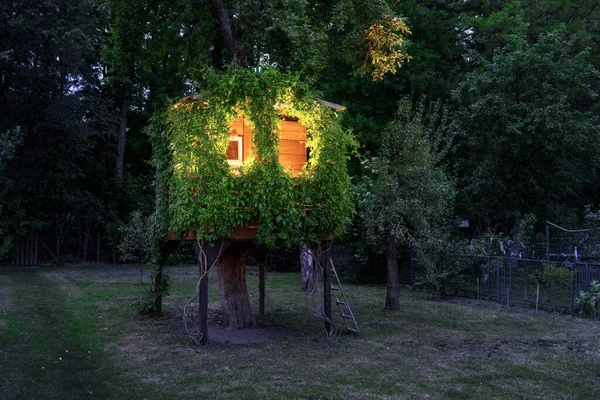 Akşam bahçesinde ağaçta oyun evi — Stok fotoğraf