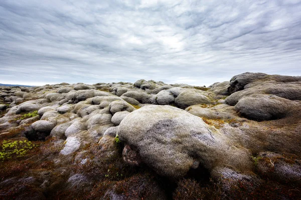 Lava veld bedekt met groen mos — Stockfoto