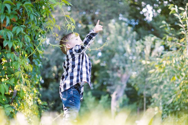 Liten pojke i rutig skjorta — Stockfoto