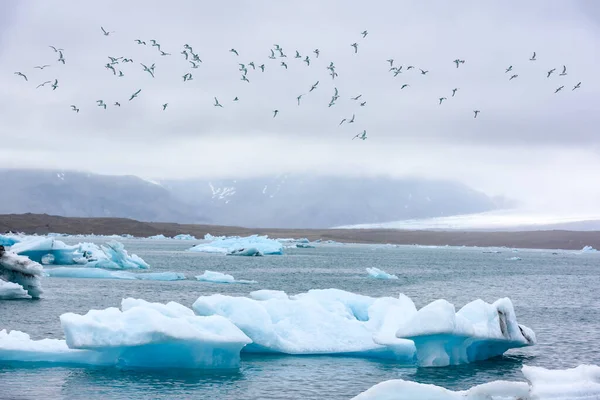 Jokulsarlon Buzul Gölü — Stok fotoğraf