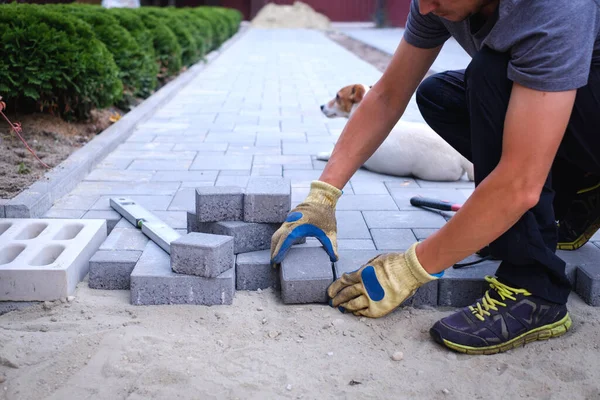 The master in yellow gloves lays paving stones — Stock Photo, Image