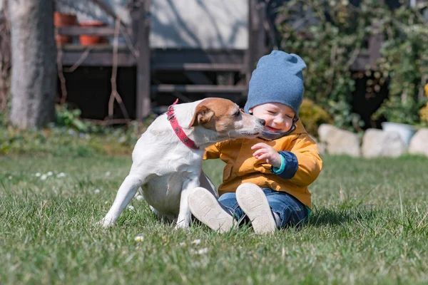 Mały dzieciak w żółtej kurtce z terrier Jacka Russela — Zdjęcie stockowe