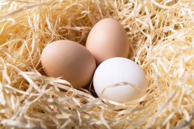 Yuvaya yakın organik tavuk yumurtaları.