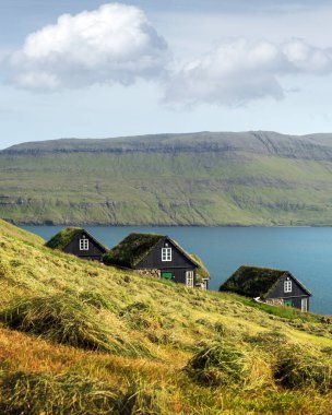 Geleneksel çim kaplı Faroe evlerinin resimli manzarası