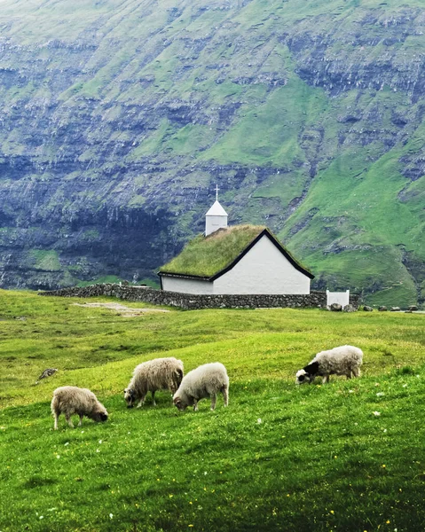 Solig sommar syn på traditionella turf-top kyrka Saksunar Kirkja — Stockfoto