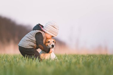 Jack Russel Terrier köpeği olan sarı ceketli küçük bir çocuk.