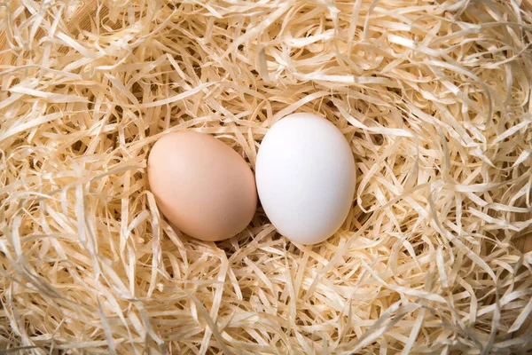 Œufs de poulet biologiques dans le gros plan du nid — Photo