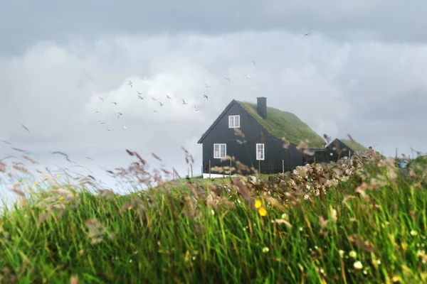 典型的な芝生の屋根を持つ家の霧の朝の景色 — ストック写真