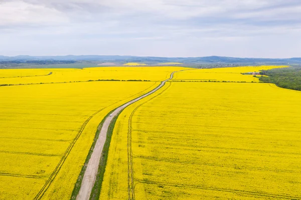 Vista aérea do drone da estrada à terra em campos amarelos — Fotografia de Stock