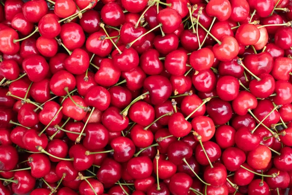 Cherry jagodowy closep — Zdjęcie stockowe
