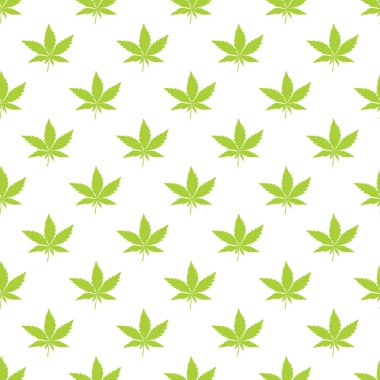 Beyaz arkaplanda yeşil kenevir yaprakları 