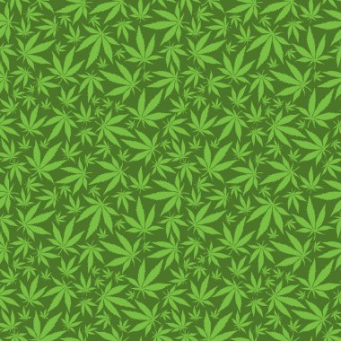 Yeşil esrar yaprakları 