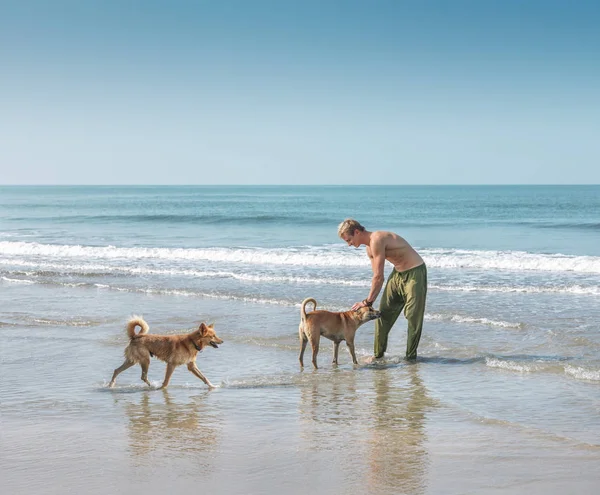 Homem brincando com dois cães na praia — Fotografia de Stock