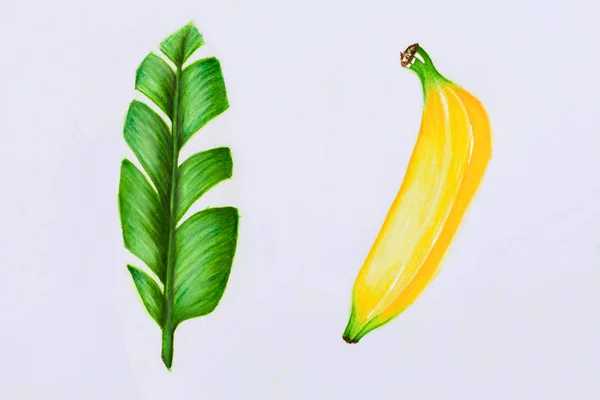 Esquisse abstraite de la banane — Photo