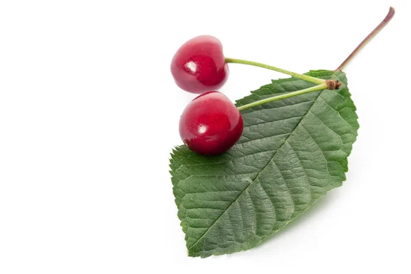 Zralé červené cherry, samostatný — Stock fotografie