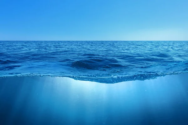 Фото Под Водой В Море Фото Под Водой В Море