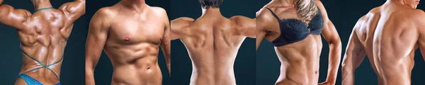 Collage de atletas personas torso primer plano — Foto de Stock